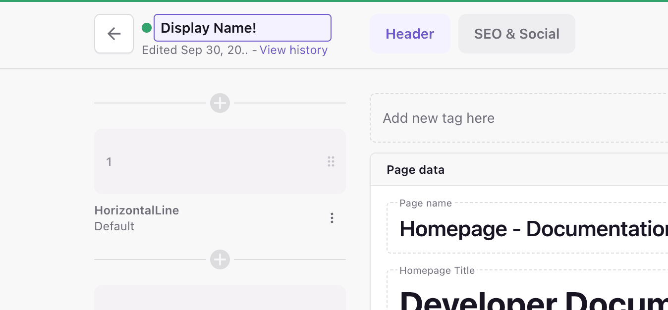 A screenshot of a page and its display name.